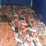 Salmon Pâté - a 2 star difficulty rating